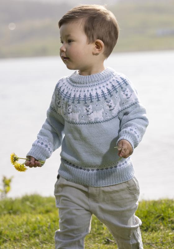"Hunde" Tröja- Viking Design 2323-6A Kit - 1 - 8år - Viking Bambino