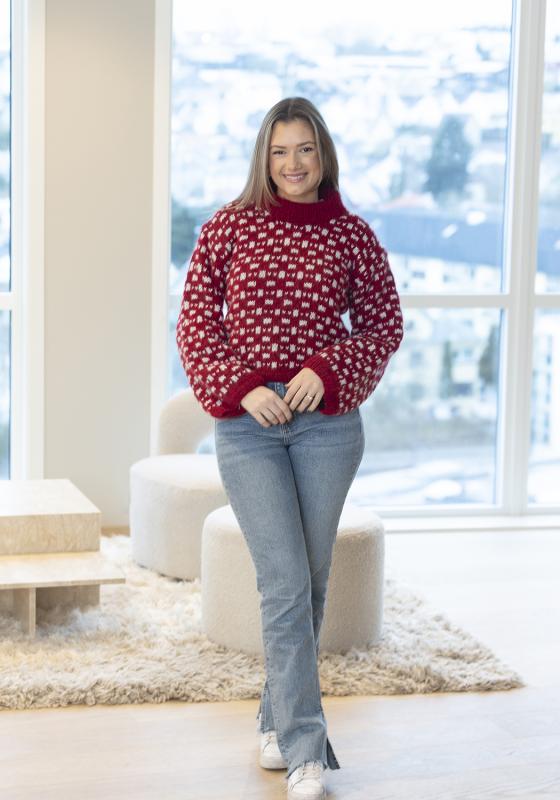 "Bryggen" Tröja - Viking Design 2305-12B Kit - XS-XXL - Viking Alpaca Bris