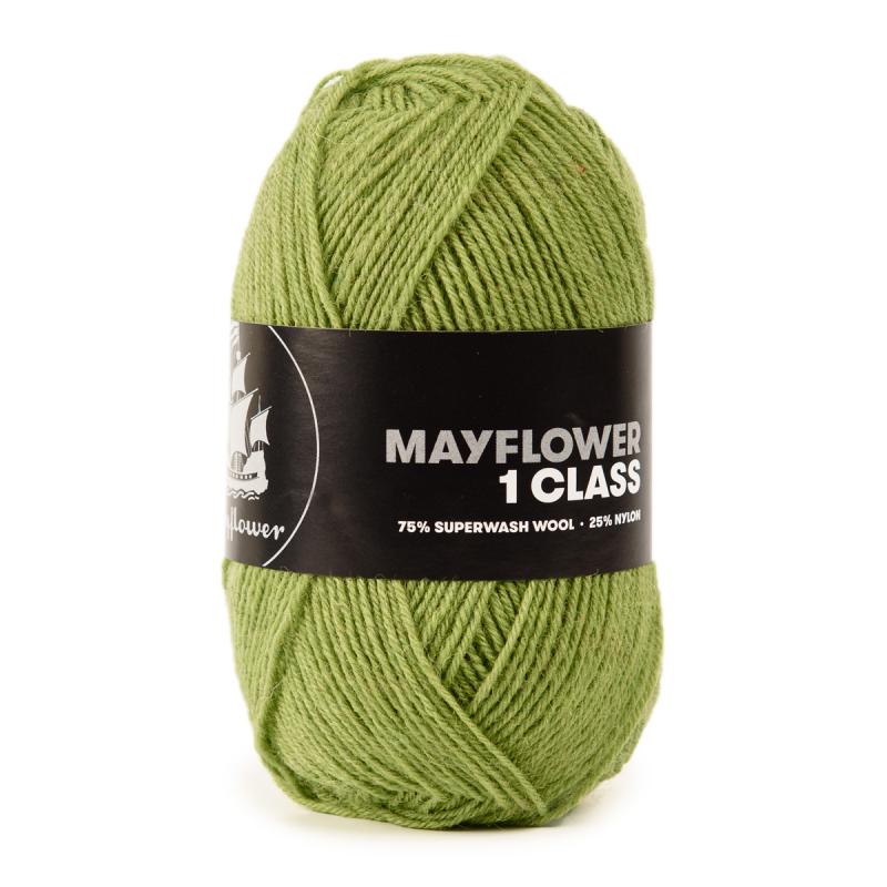 Mayflower 1 Class