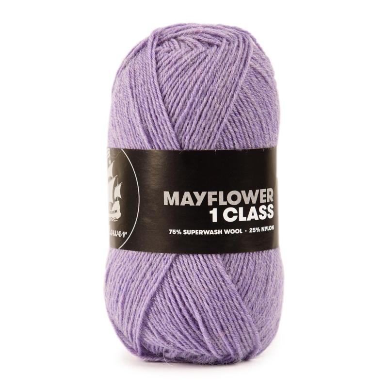 Mayflower 1 Class 8 Lupin