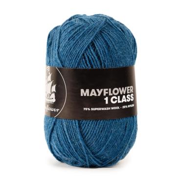 Mayflower 1 Class - 23 Blå Asters