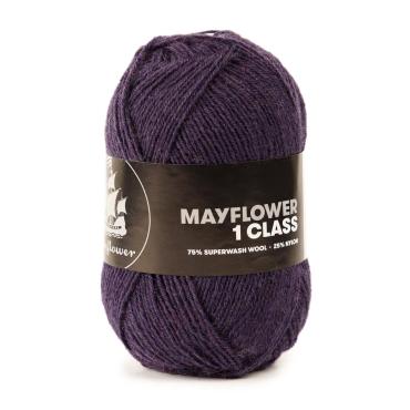 Mayflower 1 Class - 6 Asterslilla