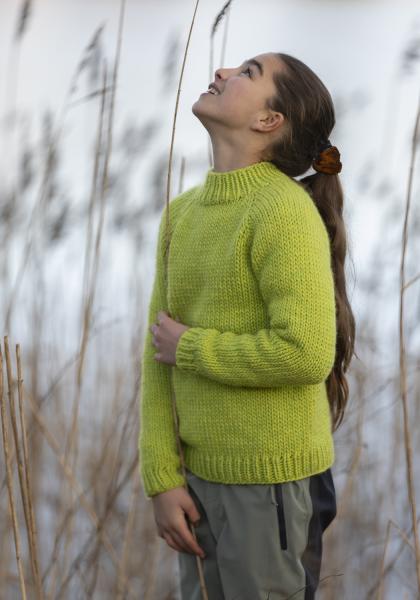 "Limone" genser - Viking Design 2405-4 Kit - 2 - 12 år - Viking Snorre