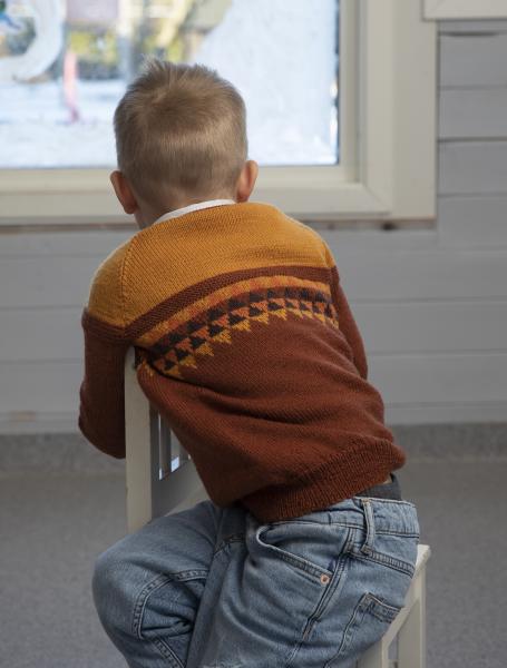 Gulliver genser  - Viking Design 2110-15 Kit - 2 - 12 år - Viking Frøya