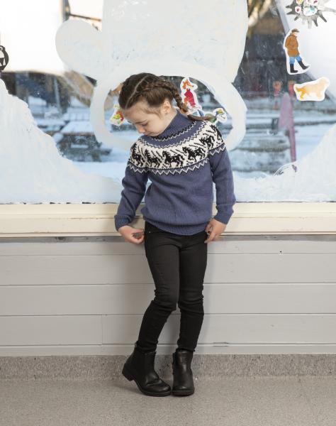 Hest genser  - Viking Design 2110-9B Kit - 2 - 12 år - Viking Frøya