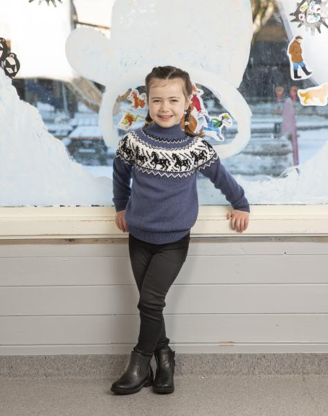 Hest genser  - Viking Design 2110-9B Kit - 2 - 12 år - Viking Frøya